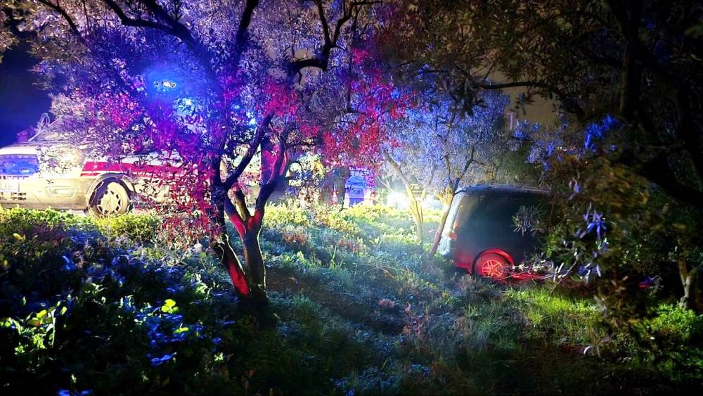 Mudanya&rsquo;da kazadan ka&ccedil;an s&uuml;r&uuml;c&uuml; zeytinliğe daldı
