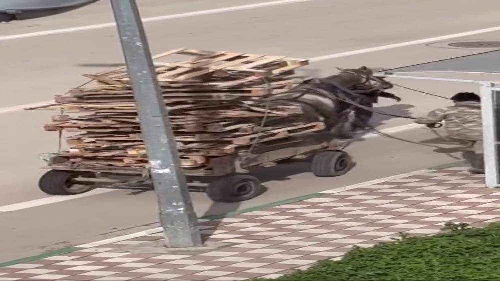 Bursa&rsquo;da pes dedirten g&ouml;r&uuml;nt&uuml;ler
