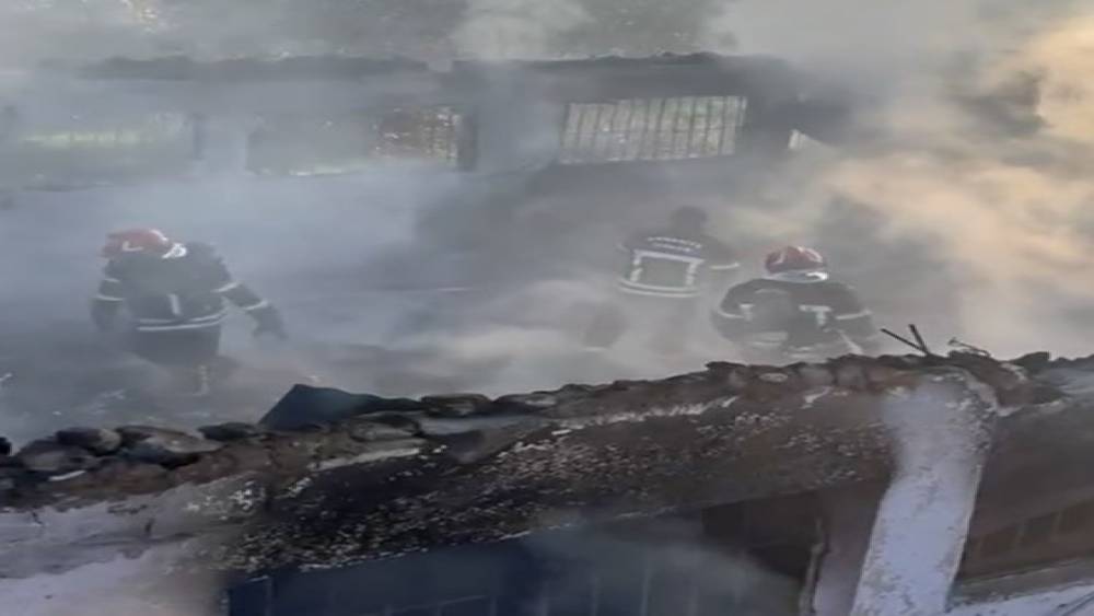 Osmaniye&rsquo;de &ccedil;iftlikte yangın: 8 koyun ve 120 k&uuml;mes hayvanı telef oldu
