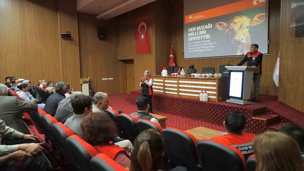 Muğla&rsquo;da buzağı kayıplarını azaltmaya y&ouml;nelik eğitimler başladı
