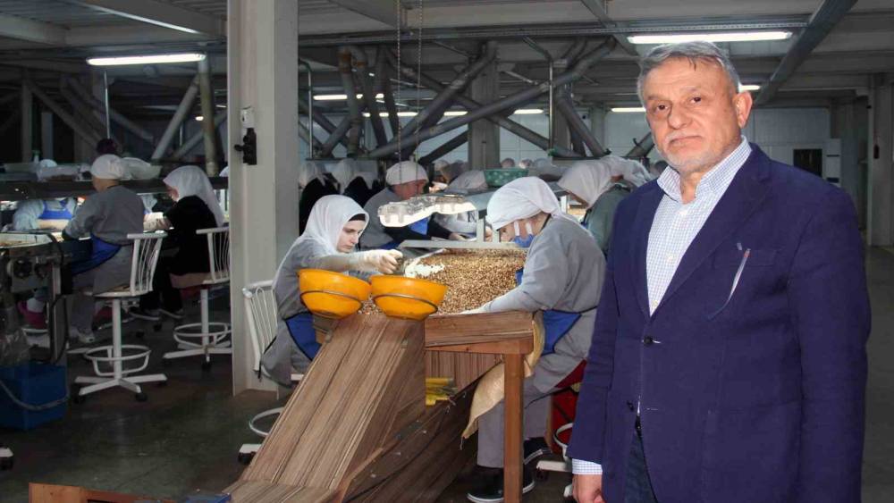Fındık fiyatlarındaki d&uuml;ş&uuml;ş s&uuml;r&uuml;yor: G&ouml;zler yeni sezonda
