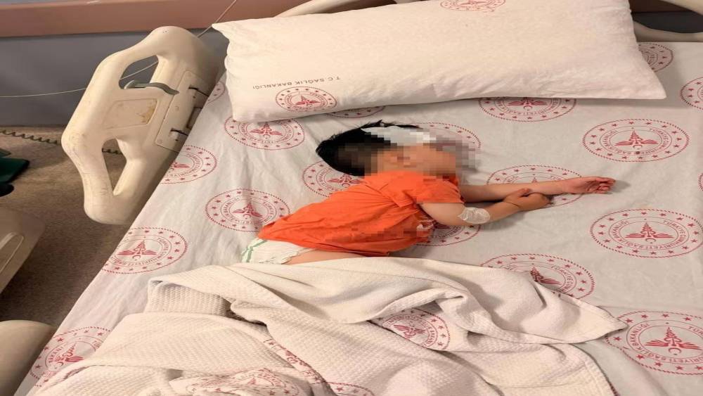 Sokak k&ouml;peklerinin saldırdığı 1 bu&ccedil;uk yaşındaki &ccedil;ocuk yaralandı
