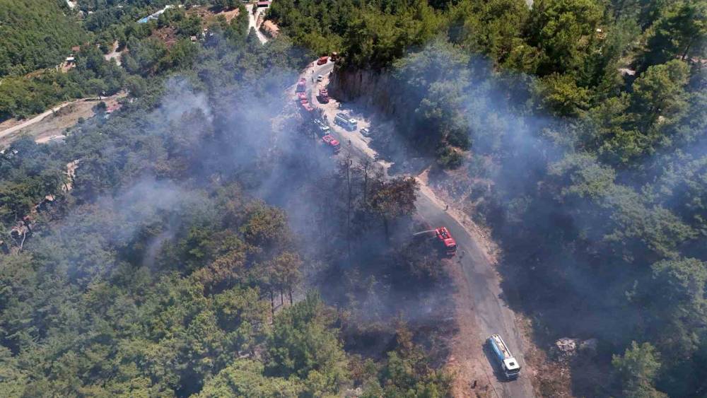 Alanya&rsquo;da orman yangını 3 saatte kontrol altına alındı
