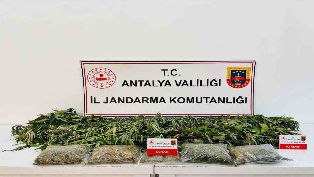 Alanya&rsquo;da uyuşturucu operasyonunda 24 k&ouml;k kenevir ve 2 kilo 642 gram esrar ele ge&ccedil;irildi
