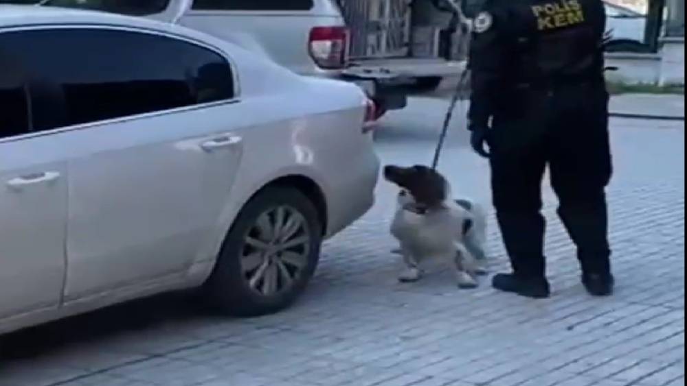 Denizli&rsquo;de narkotik operasyonunda 6 kilo esrar ele ge&ccedil;irildi
