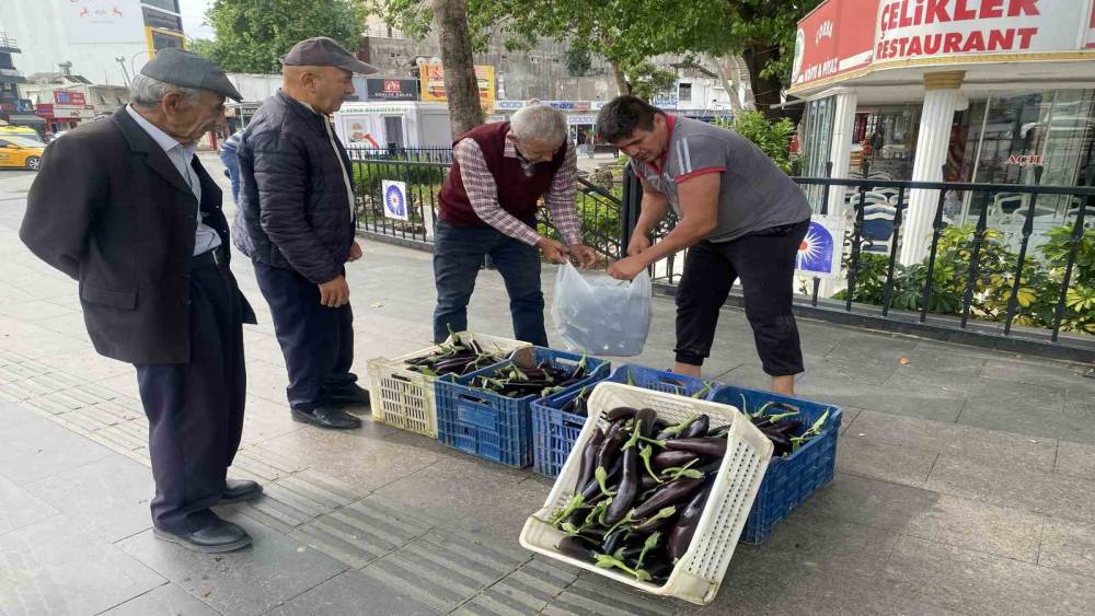 &Uuml;rettiği patlıcanlar maliyetini kurtarmayınca serasının kapılarını vatandaşlara a&ccedil;tı
