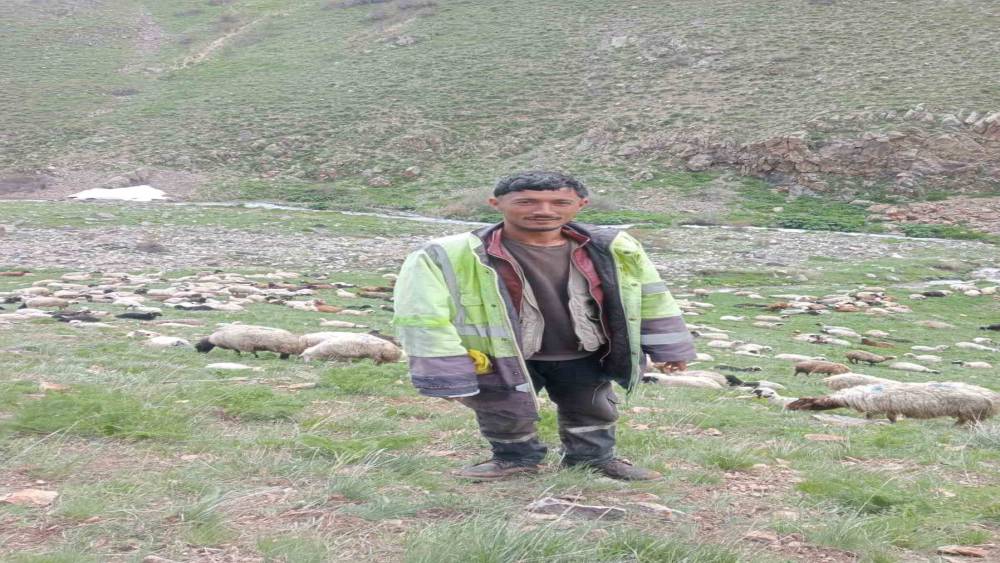 Ağrı&rsquo;da ka&ccedil;an cinayet zanlısı jandarma kontrol noktasında yakalandı
