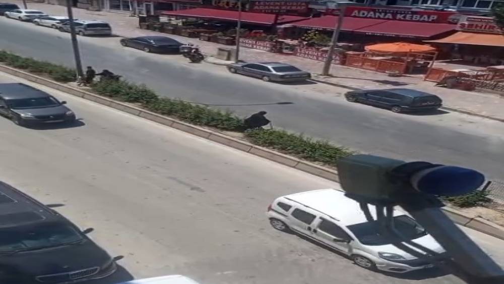 Elinde bastonuyla ref&uuml;je &ccedil;ıkarak yolun karşısına ge&ccedil;meye &ccedil;alışan yaşlı kadın adeta &ouml;l&uuml;mle dans etti
