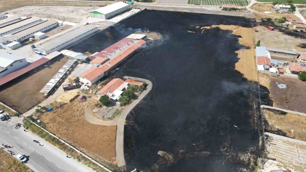 Tarlada &ccedil;ıkan yangın yerleşim yerlerine ulaşmadan s&ouml;nd&uuml;r&uuml;ld&uuml;
