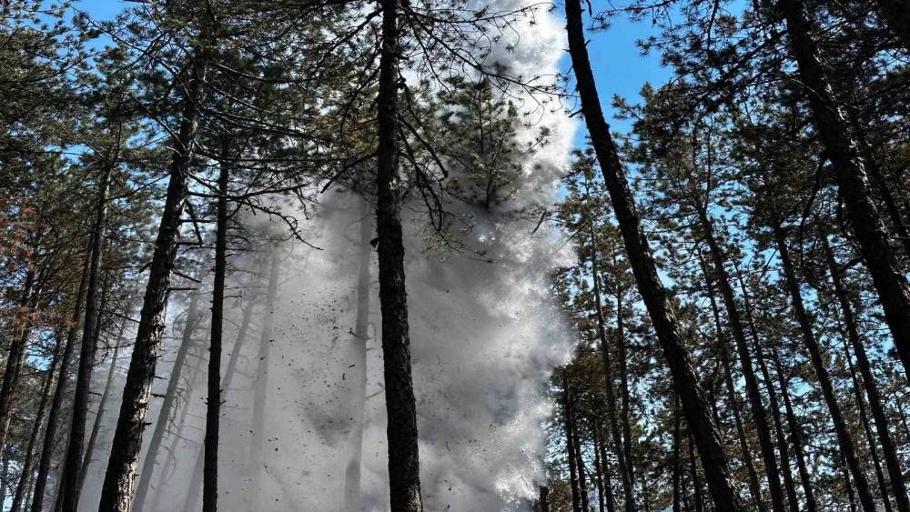 Kastamonu&rsquo;da orman yangını: Alevlere havadan ve karadan m&uuml;dahale edildi
