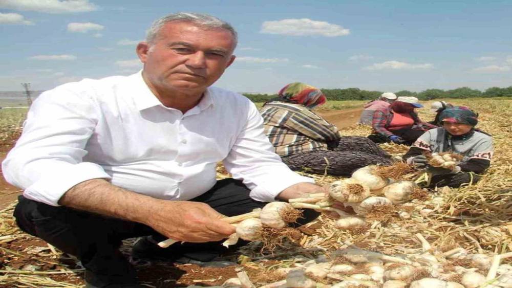 Altun&rsquo;dan tarım mesajı
