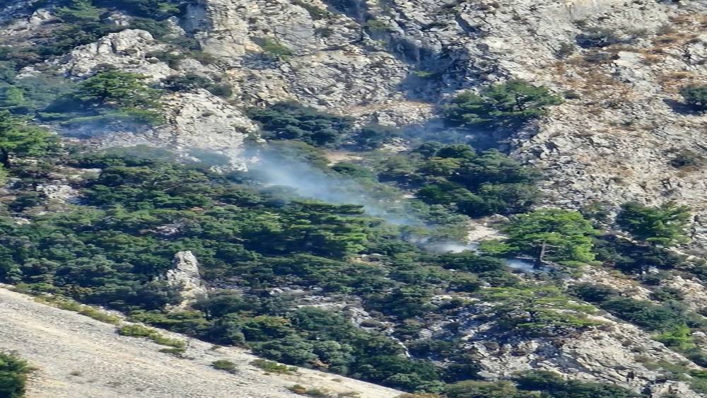 Muğla&rsquo;da makilik alanda &ccedil;ıkan yangın kontrol altına alındı
