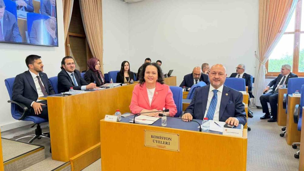 Emniyet, basın ve vergi ile ilgili d&uuml;zenlemeleri i&ccedil;eren kanun teklifi Komisyon&rsquo;da
