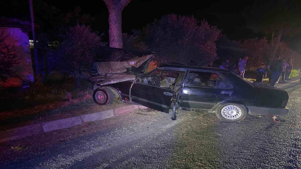 Sokak k&ouml;peğinden ka&ccedil;mak isteyen otomobil ağaca &ccedil;arptı: 1&rsquo;i ağır 2 yaralı
