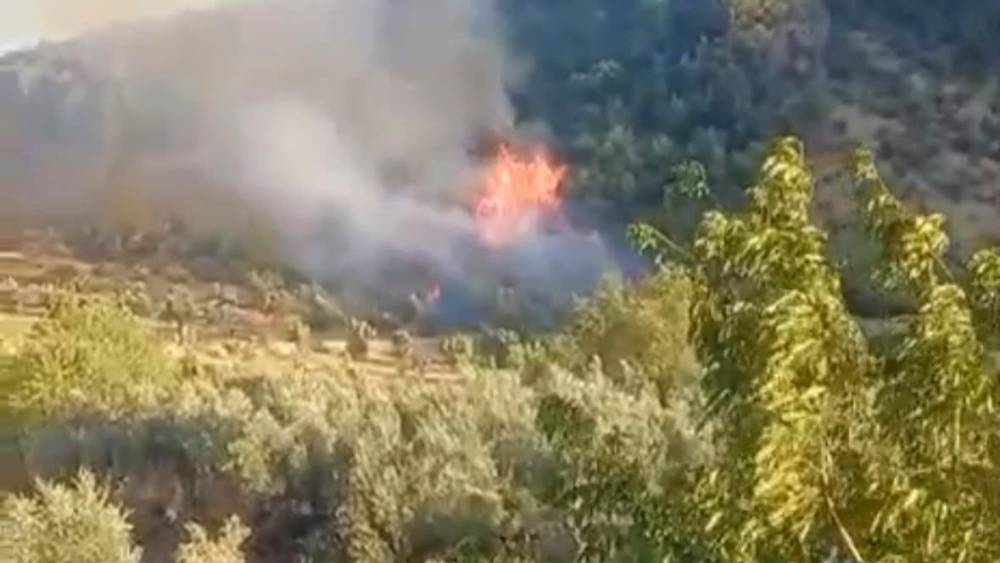 Gaziantep&rsquo;te &ccedil;ıkan orman yangını havadan ve karadan m&uuml;dahaleyle s&ouml;nd&uuml;r&uuml;ld&uuml;
