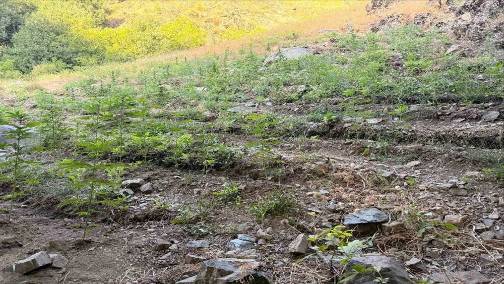 Bing&ouml;l&rsquo;de &ccedil;eşitli su&ccedil;lardan 76 ş&uuml;pheli yakalandı
