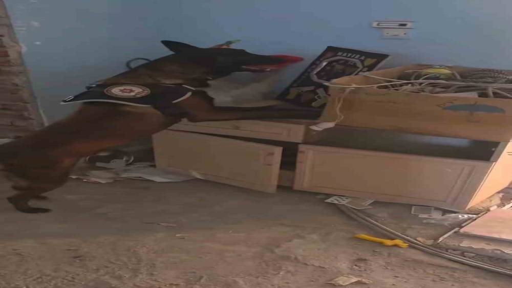 Bing&ouml;l&rsquo;de 3 kilo esrar ele ge&ccedil;irildi
