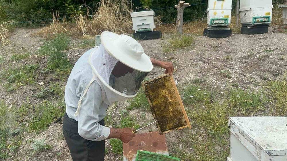 50 yıllık arıcı emekli başgardiyan 20 yıldır Avrupa&rsquo;ya bal g&ouml;nderiyor
