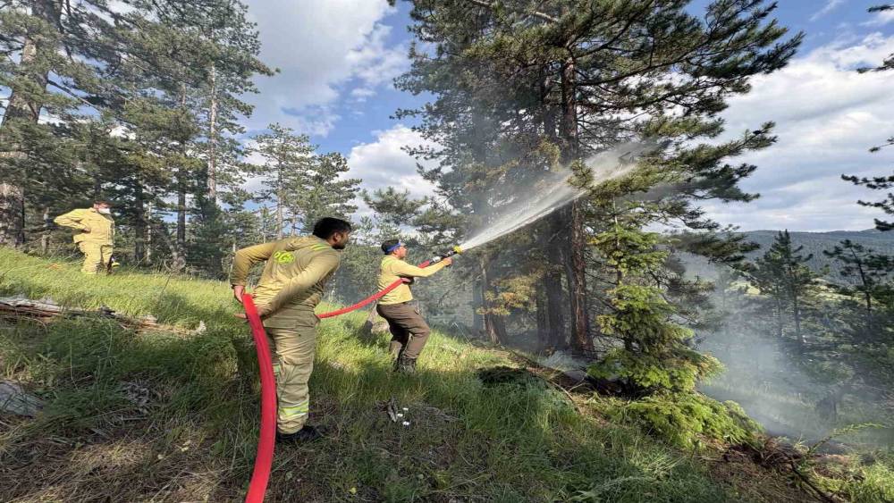 Kastamonu&rsquo;da &ccedil;ıkan orman yangınında 7,5 d&ouml;n&uuml;m alan zarar g&ouml;rd&uuml;
