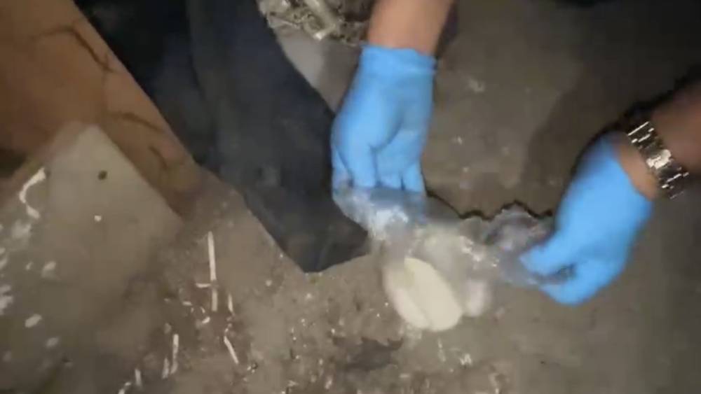 Samsun&rsquo;da uyuşturucu operasyonu
