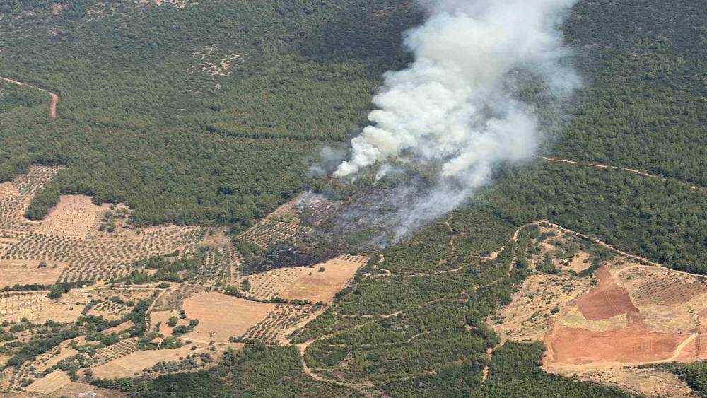 Yatağan&rsquo;da zirai alanda başlayan yangın ormana sı&ccedil;radı
