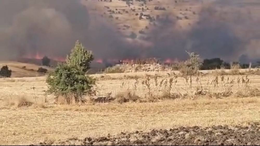 Seyitgazi&rsquo;de tarım arazisinde yangın &ccedil;ıktı

