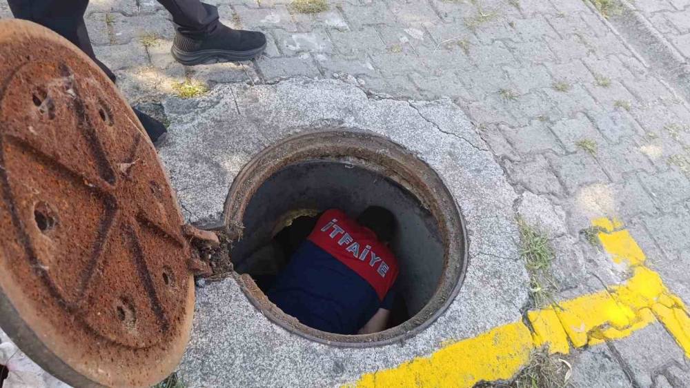 Kanalizasyon borusuna sıkışan yavru kedi kurtarıldı
