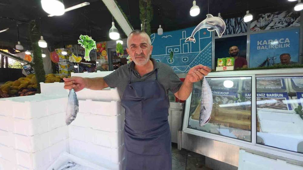 D&uuml;zce&rsquo;de palamut tezgaha indi, vatandaş sıraya girdi
