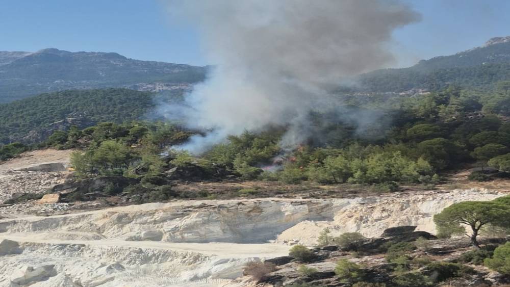 Milas&rsquo;ta orman yangını
