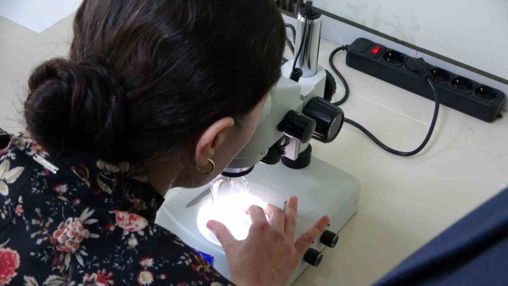 Kolorektal kanser tedavisi i&ccedil;in yeni umut
