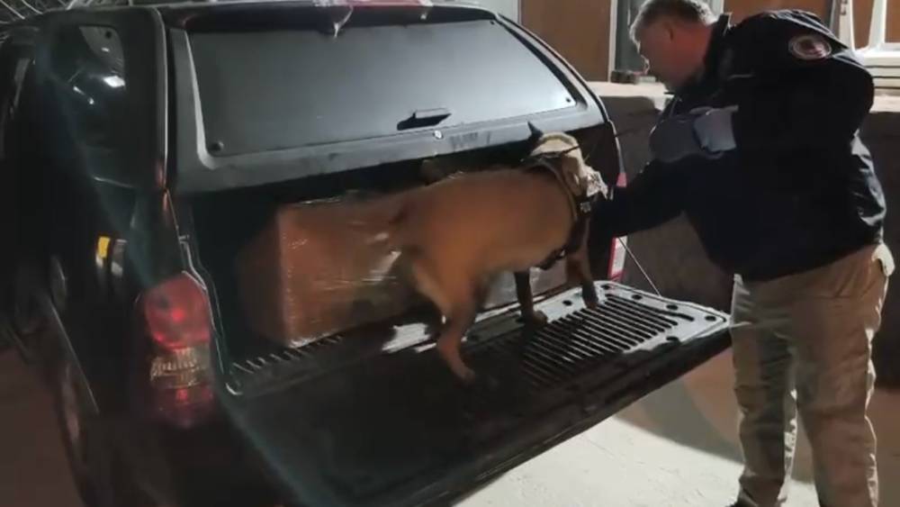 Samsun&rsquo;da uyuşturucu operasyonunda 165 bin hap ele ge&ccedil;irildi
