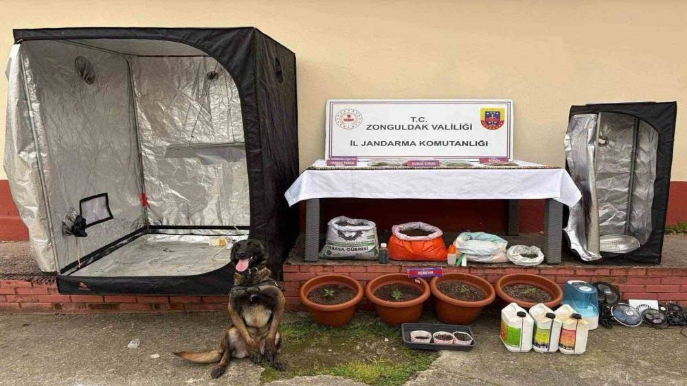 Zonguldak&rsquo;ta jandarmanın uyuşturucu operasyonunda 2 ş&uuml;pheli tutuklandı
