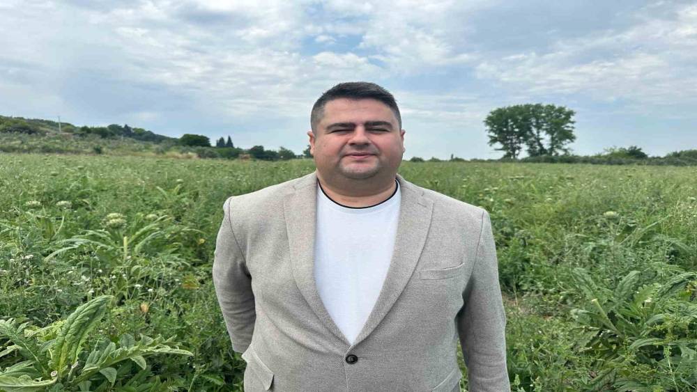 Uluabat G&ouml;l&uuml; havzasında "Hasanağa Enginarı Hasat Programı"
