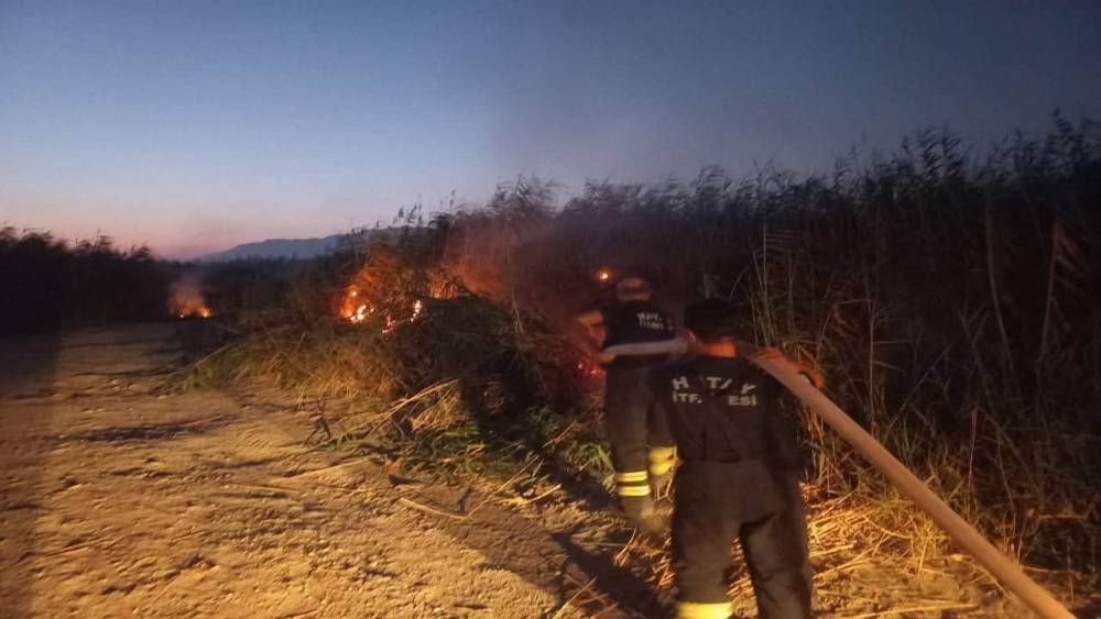 Samandağ&rsquo;da kamışlık yangını
