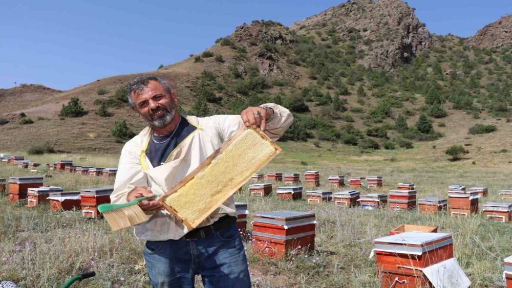 Oltu&rsquo;da sezonun ilk bal hasadı yapıldı
