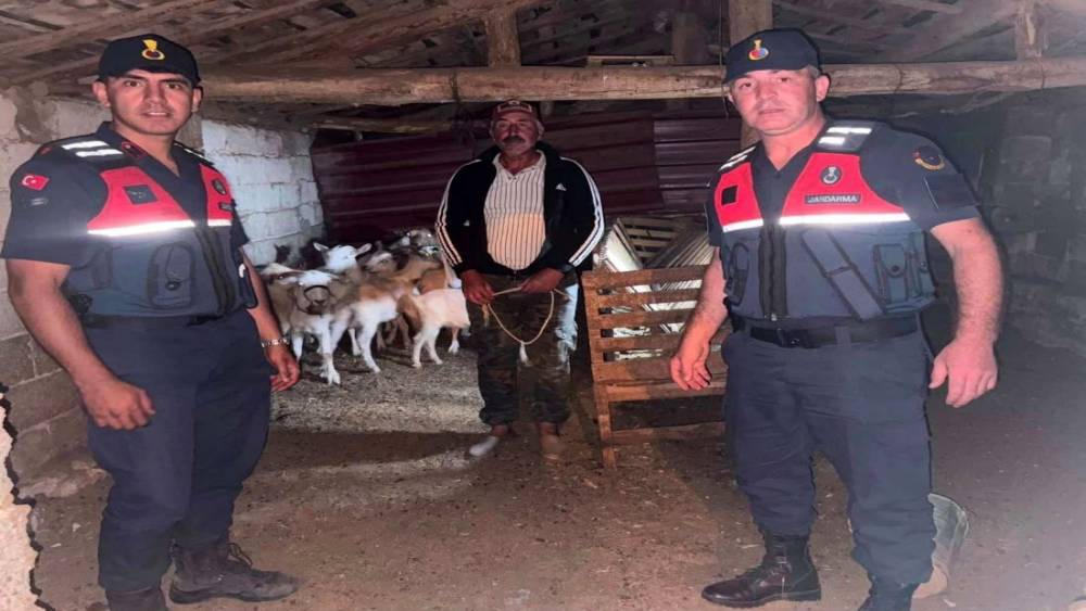 &Ccedil;anakkale&rsquo;de kaybolan 15 k&uuml;&ccedil;&uuml;kbaş hayvan jandarma ekiplerince bulunarak sahibine teslim edildi
