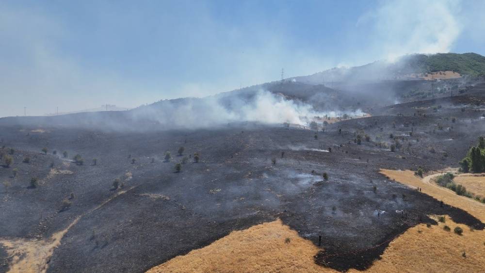 Tunceli&rsquo;deki orman yangını s&ouml;nd&uuml;r&uuml;ld&uuml;
