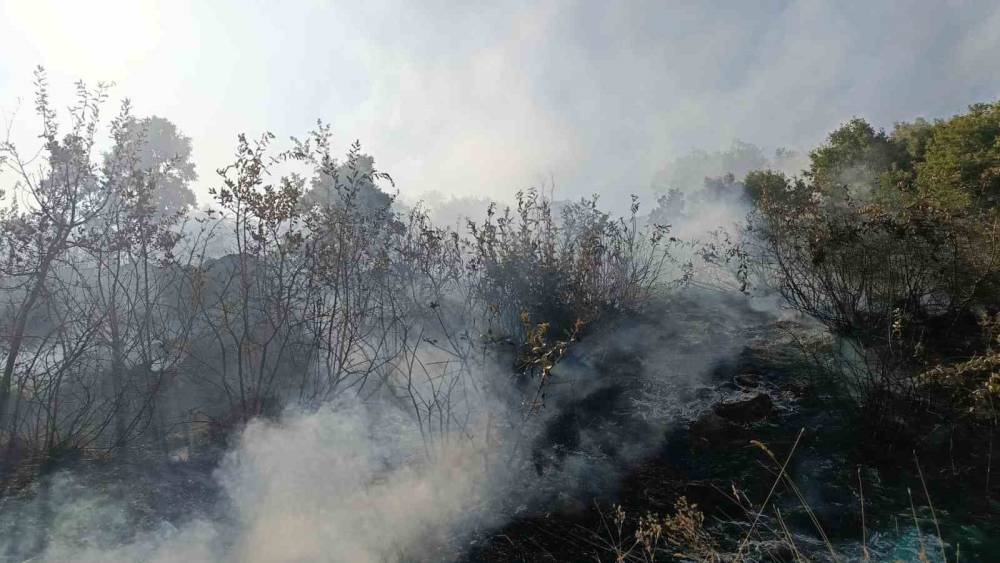Bing&ouml;l&rsquo;de orman ve mera yangınları s&ouml;nd&uuml;r&uuml;ld&uuml;
