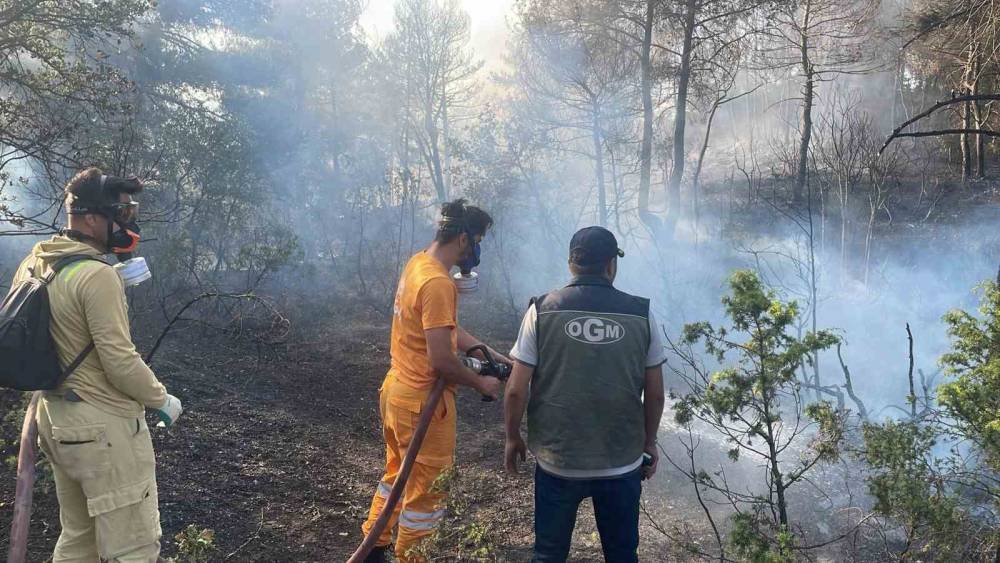Bolu&rsquo;da ormanlık alanda &ccedil;ıkan yangın kontrol altına alındı

