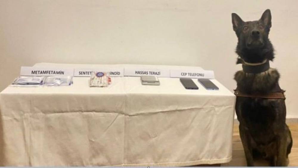 Bolu’da jandarmadan uyuşturucu operasyonu
