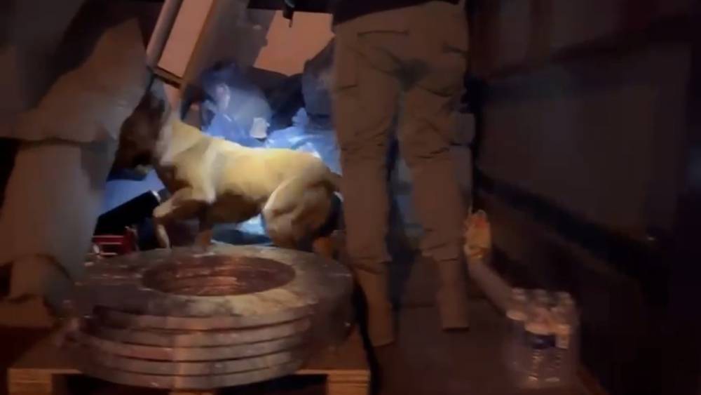 Marş dinamosundan uyuşturucu &ccedil;ıktı: Narkotik k&ouml;peği Pera&rsquo;nın dikkati ele verdi
