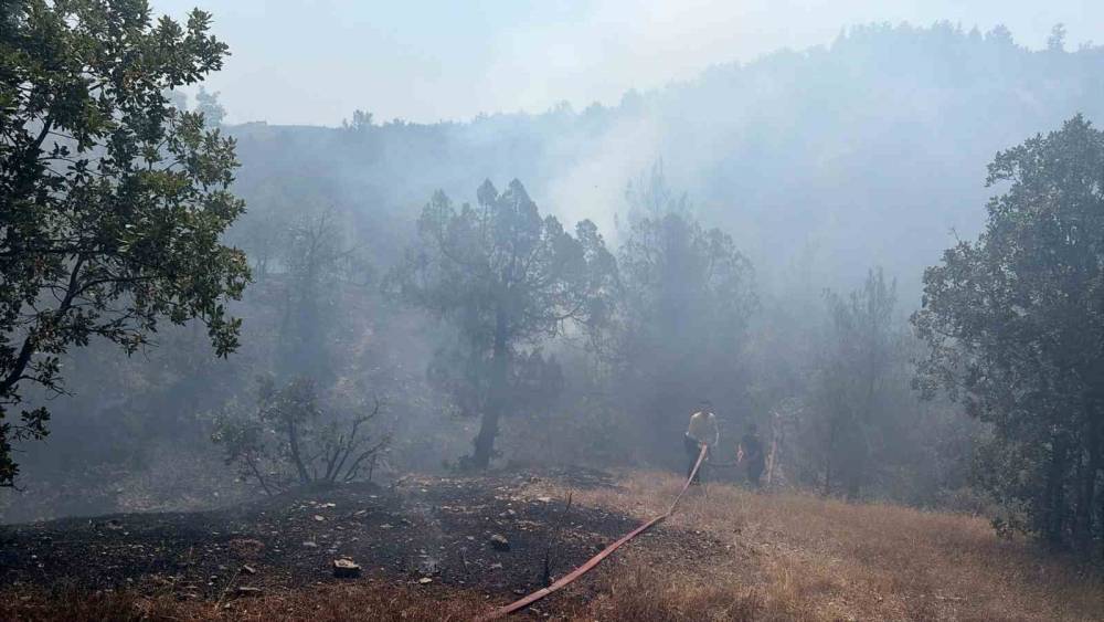 Bursa&rsquo;da orman yangınına havadan ve karadan m&uuml;dahale
