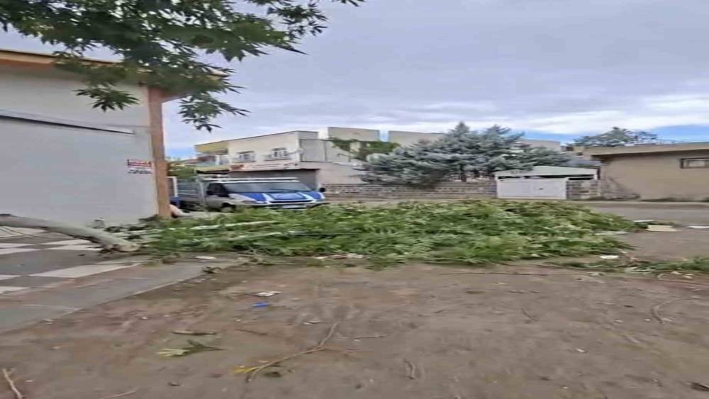 Siverek&rsquo;te etkili olan fırtına, tarlada &ccedil;alışan iş&ccedil;ilere zor anlar yaşattı
