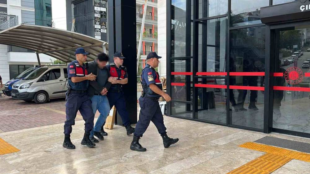 Alanya&rsquo;da kuşlara y&ouml;nelik vahşet kamerada: Birinin kafasını ağzıyla, diğerinin bı&ccedil;akla kesti

