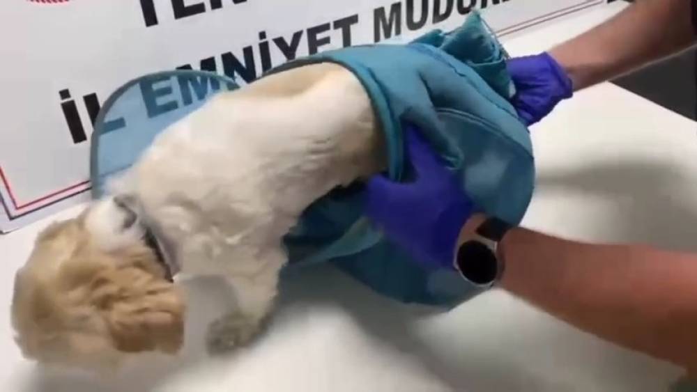 Pes dedirten y&ouml;ntem: Uyuşturucuyu evcil hayvan pusetine gizlediler
