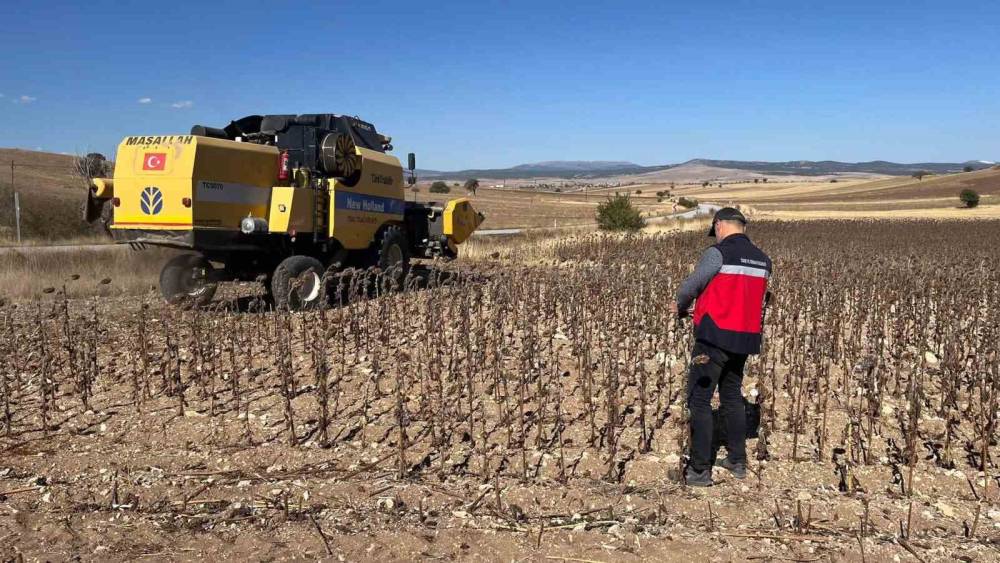 Aslanapa&rsquo;da y&uuml;zde 75 hibeli ay&ccedil;i&ccedil;eğinde hasat kontrolleri
