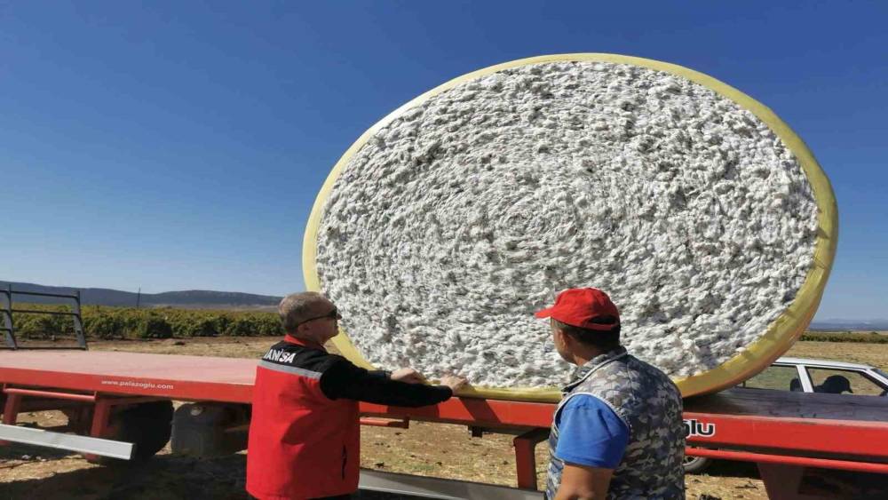 Saruhanlı&rsquo;da beyaz altın mesaisi başladı
