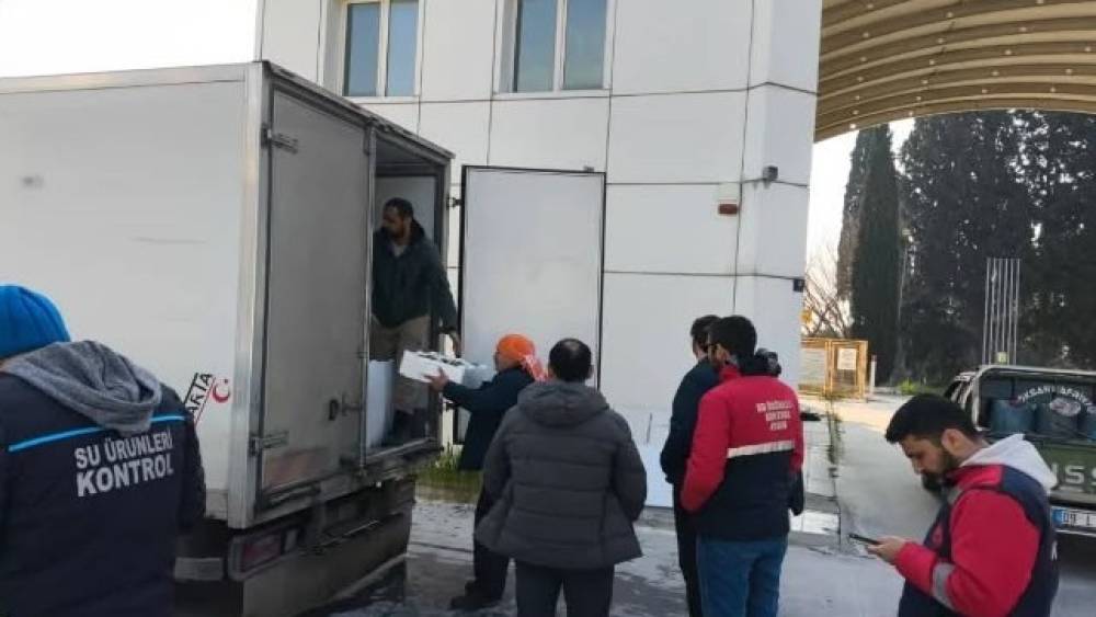 Aydın&rsquo;da nakil belgesiz 290 kasa balığa el konuldu
