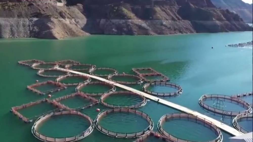 Erzurum&rsquo;da 3,38 milyar destekle 5 bin 226 kişilik istihdam oluştu
