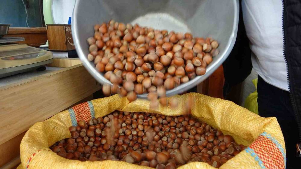 D&uuml;zce&rsquo;den AB &uuml;lkelerine 4 bin 452 ton fındık ihra&ccedil; edildi
